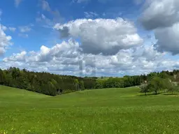 LEICHTE HANGLAGE MIT TRAUMAUSSICHT IN DIE NATUR