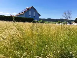 MIT BLICK ZUM LEITHAGEBIRGE UND NEUSIEDLERSEE