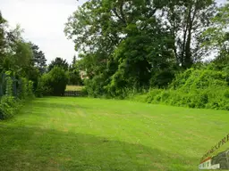 Traumhaftes Baugrundstück in einem Waldgebiet nahe Gänserndorf