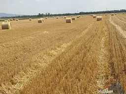 Ackerland in Weikendorf