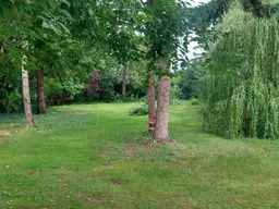 Wohnjuwel mit großem Garten im Zentrum von Sollenau