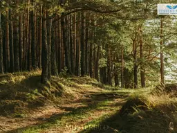 Waldgrundstücke in Arzl im Pitztal