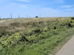 Großes Grundstück | Viel Platz für Ihr Haus und Ihre Familie!