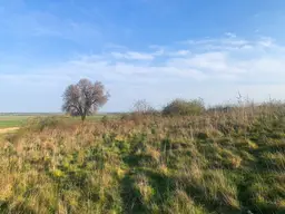 Viel Platz für Ihr Haus und Ihre Familie!