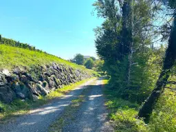SCHEIBENGRUND an der Weinstraße