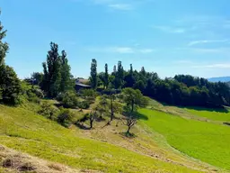 SCHEIBENGRUND an der Weinstraße