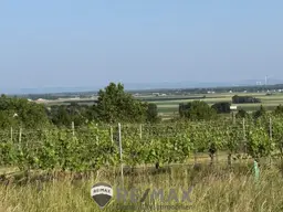 "schöööne Aussicht"