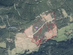 Waldgrundstücke mit 12,6 Hektar im Leobengraben (Bezirk Spittal an der Drau)