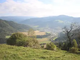 Land- und Forstwirtschaft mit Gebäude in Pirkach bei Brückl (Bezirk St. Veit an der Glan)