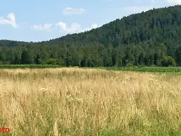 1,8 ha Bauland Potential in Jaunstein - Globasnitz