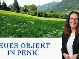Aufgepasst 3 Grundstücke: Traumhafte Grundstücke - 8.740 m² zum Verwirklichen Ihrer Träume in Penk.!