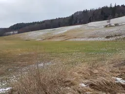 ruhig, sonnig, eben, zentral - sollte so nicht Ihr Baugrund sein?
