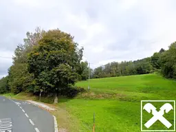 Wiese und Wald Nähe Ludmannsdorf