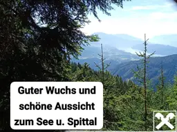 Waldgrundstück in Trebesing