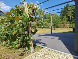 PREISWERTES, SMART RENOVIERTES EINFAMILIENHAUS MIT VIEL PLATZ IN GRÜNRUHELAGE IN FERNITZ 