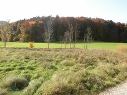 Grünland-Grundstück in Großgmain