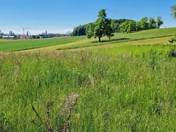 Sonniger Baugrund am Grünland, 30 km nördlich von Salzburg
