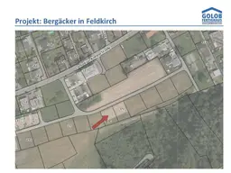 Ihr neues Zuhause in Feldkirch - Bergäcker