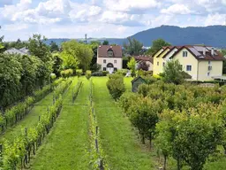 Villenbaugrund (1.335m²) in der Langenzersdorfer Kellergasse am Fuße des Bisambergs