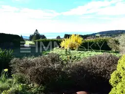 Einzigartig - Natur und Stadt!