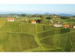 Ihr neues Zuhause in den Hügeln der Südsteiermark - Top2