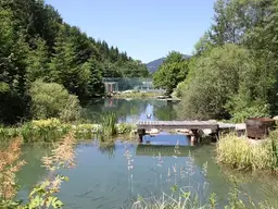 Idyllische Ruhelage im Grünen mit Bade/Fischteichen!