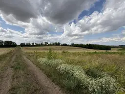 Ruhige Wohngegend des östlichen Weinviertels