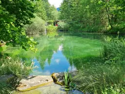 Wohnen im Naturparadies mit Fisch- /Badeteich! 