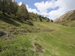 Traumhafte Almimmobilie mit Eigenjagd und Quelle – Flattach, Kärnten
