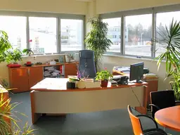 Großzügige Büroetage mit Terrasse