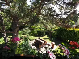 Ihr Sommerrefugium nahe Wien mit 1.300 m² Garten – Pool, Obstgarten und Natur genießen