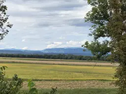 Ihre neue Aussicht?