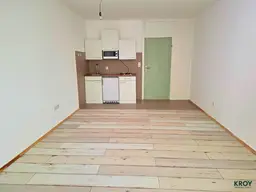 Garconniere mit Terrasse - stadtnahe Wohnlage Parsch