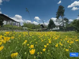 Baugrund im Grünen