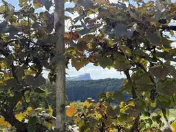 Ein Platz zum Ankommen- mit Blick auf die Riegersburg