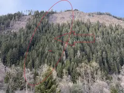 Kleine Forstfläche Nähe Frojach - Bezirk Murau