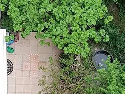 RUHEOASE MIT GARTEN &amp; TERRASSE IN U6 NÄHE