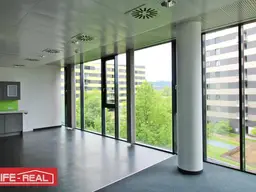ein Wohlfühlbüro, hell, sonnig, lichtdurchflutet,