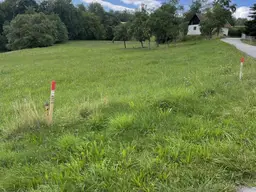 Schönes Grundstück, Bauland und LW. Fläche