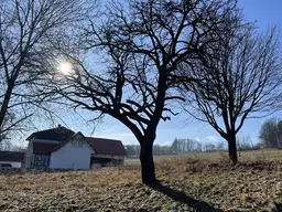 Baugrund mit tollem Ausblick