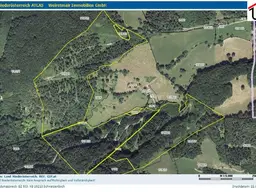 Wald 28,3 ha bei Schwarzenbach/Pielach