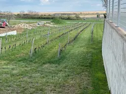 Exklusives Baugrundstück in Purbach: Traumlage mit Blick auf den Neusiedler See