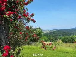 *Leben in den Weinbergen mit atemberaubender Fernsicht*