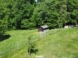 Sonnige Landwirtschaftsfläche mit vielseitigem Potenzial - ideal für Tierhaltung &amp; Naturprojekte