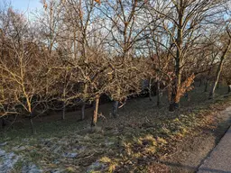 Großes Gartengrundstück in ruhiger Lage