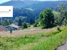 Land- und Forstwirtschaftliches-Grundstück in Steinhaus am Semmering – nur 20.500 €!