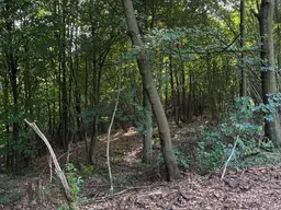 Wald am Stadtrand von Graz – 41.598 m² Natur als bleibender Wert