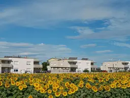 Wohnung mit Garten in Zemendorf