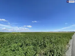 Rarität! Landwirtschaftliches Grundstück zwischen Moosbrunn und Gramatneusiedl– ca. 41.000 m² Ackerfläche zu verkaufen!