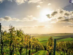 Exklusiv! Besondere Anwesen in der wunderschönen Südsteiermark – Ihr Rückzugsort mit Charme, Komfort und einen unvergleichbarem Flair!